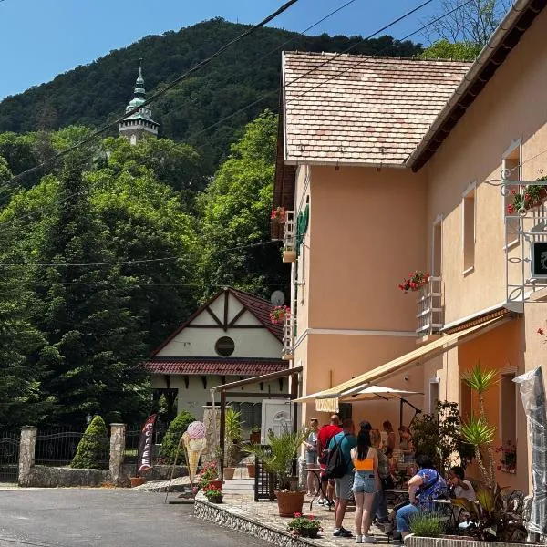 Zöldfa Panzió，位于米什科尔茨的酒店