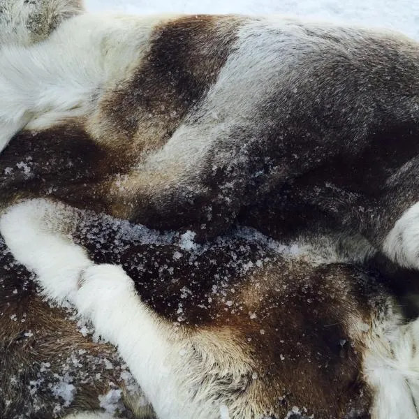 Harju-Hill Villa，位于罗瓦涅米的酒店