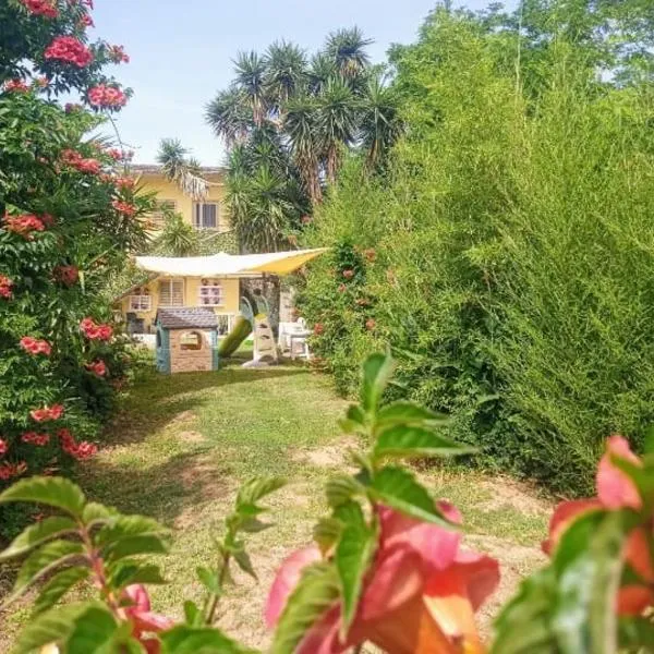 B&B Romy House，位于Pianopoli的酒店