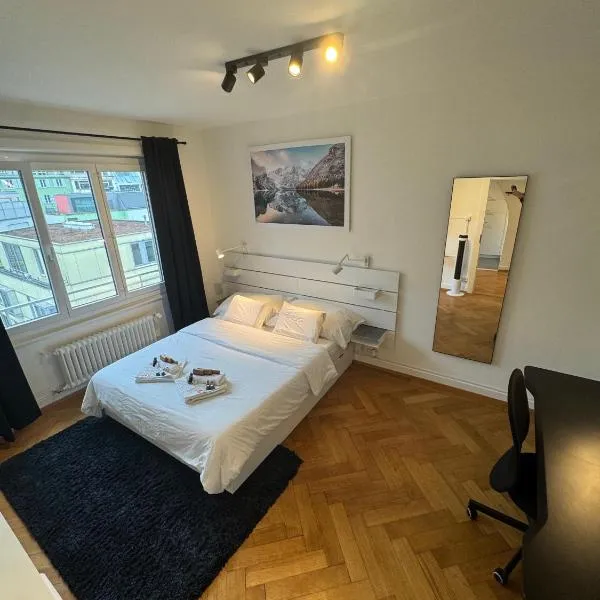 Cosy studio in Lausanne Flon，位于洛桑的酒店