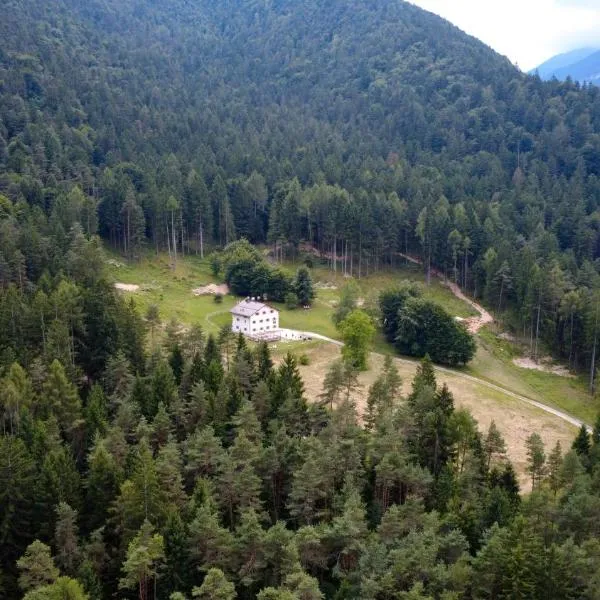Casera Val Montina - Dolomiti Wild，位于Perarolo di Cadore的酒店