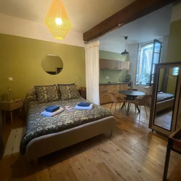 Studio de Charme à la Roquette，位于阿尔勒的酒店