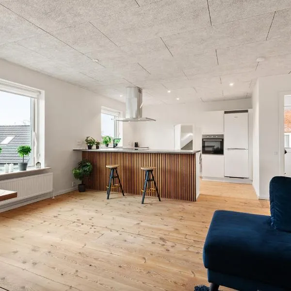 3 værelses lejlighed，位于海宁的酒店