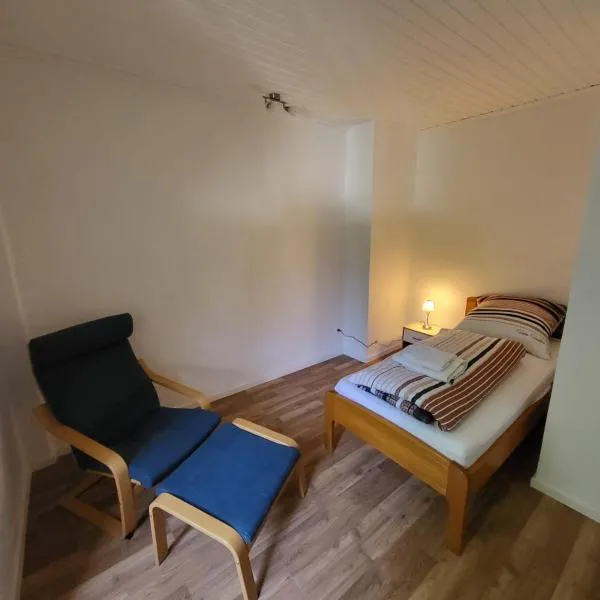 Exklusives & ruhiges Zimmer an der Uni Mainz，位于美因茨的酒店