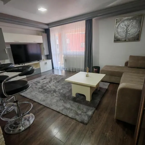 Magic Apartments 3，位于密古雷休治的酒店