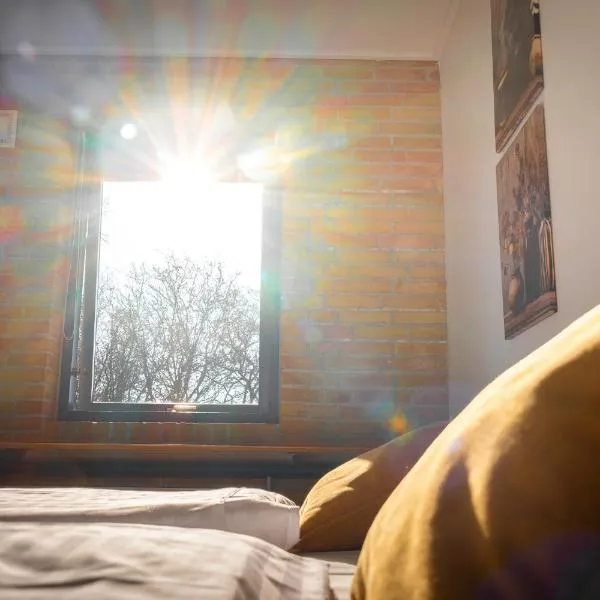 Hotel Svanegården，位于科瑟的酒店