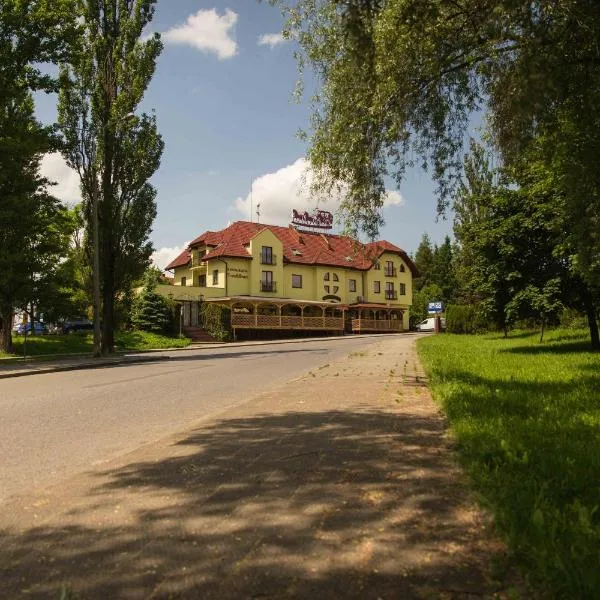 Restauracja -Zajazd trzech braci，位于Dębowiec的酒店