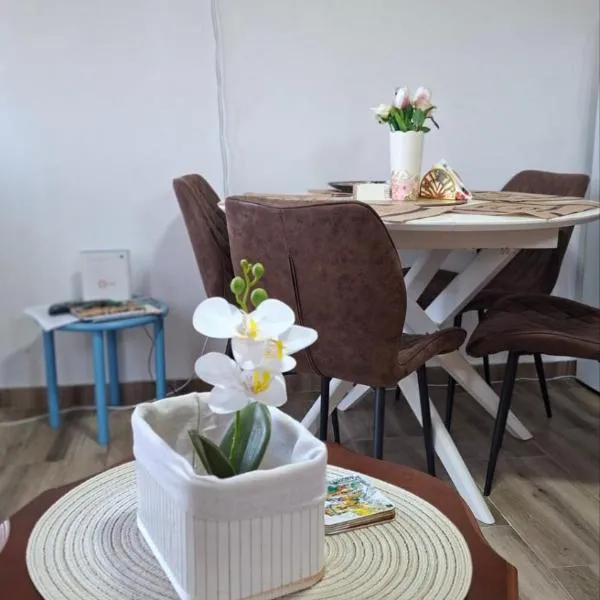 Apartman Raj，位于Gunjica的酒店