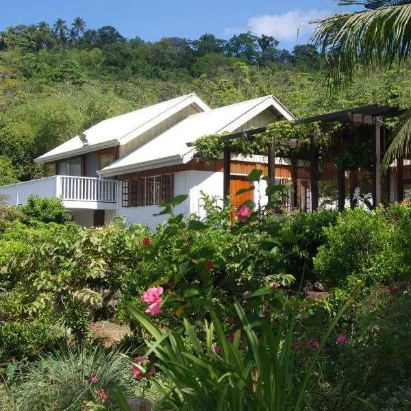 The Amazing Villa，位于Anepahan的酒店