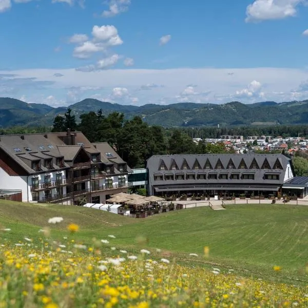 Hotel Arena Maribor，位于马里博尔的酒店