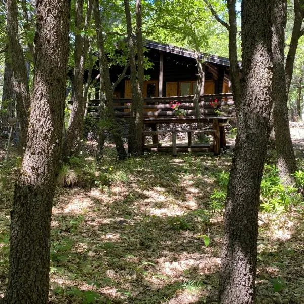 Woods Etna Chalet，位于拉加尔纳的酒店