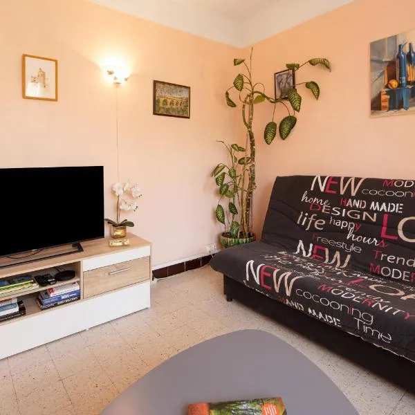 Appartement Le Vigan，位于勒维冈的酒店