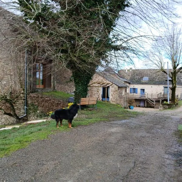 Domaine de Lasfonds，位于Rieupeyroux的酒店