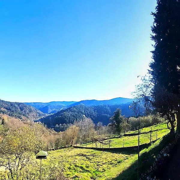 Ferienwohnung Panoramablick Bermersbach，位于福尔巴赫的酒店