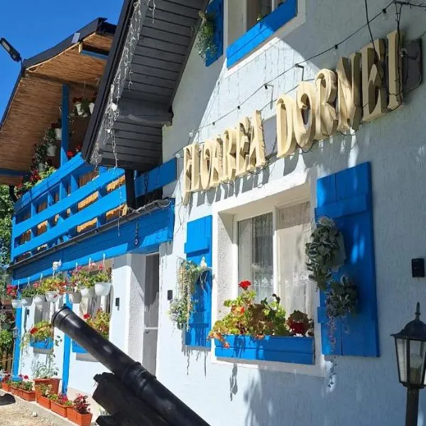 Pensiunea Floarea Dornei，位于Şaru Dornei的酒店