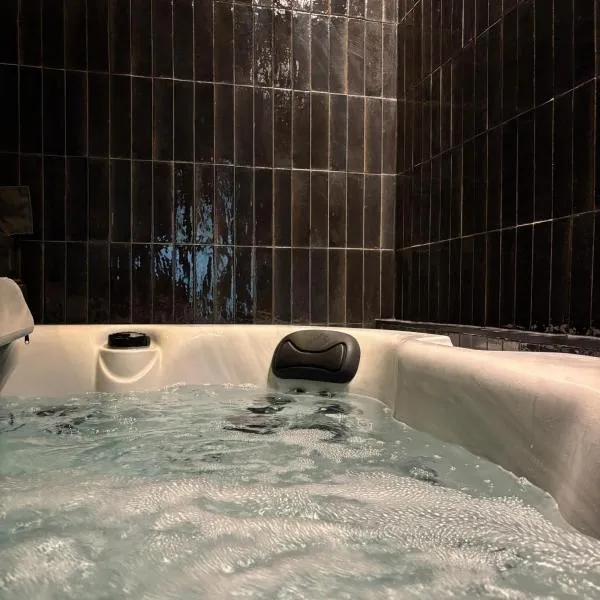 Hydra Haven l Sauna & Jacuzzi l Luxury Wellness Loft，位于卡托维兹的酒店