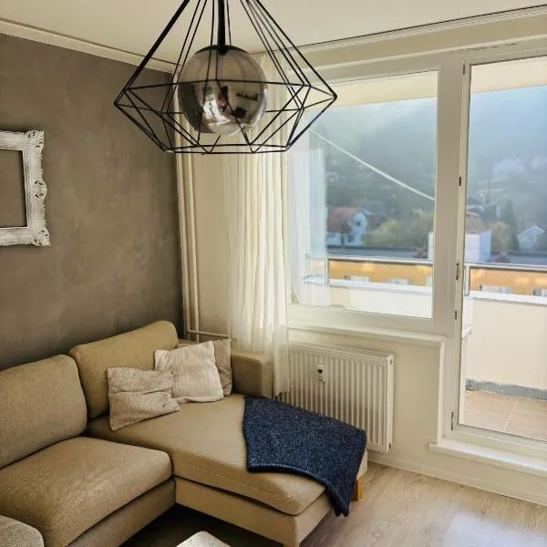 Apartmánový byt VYHNE，位于维尼的酒店
