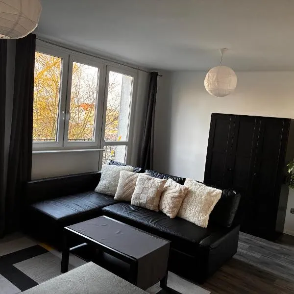 City Studio Apartment，位于奥得河畔科斯琴的酒店