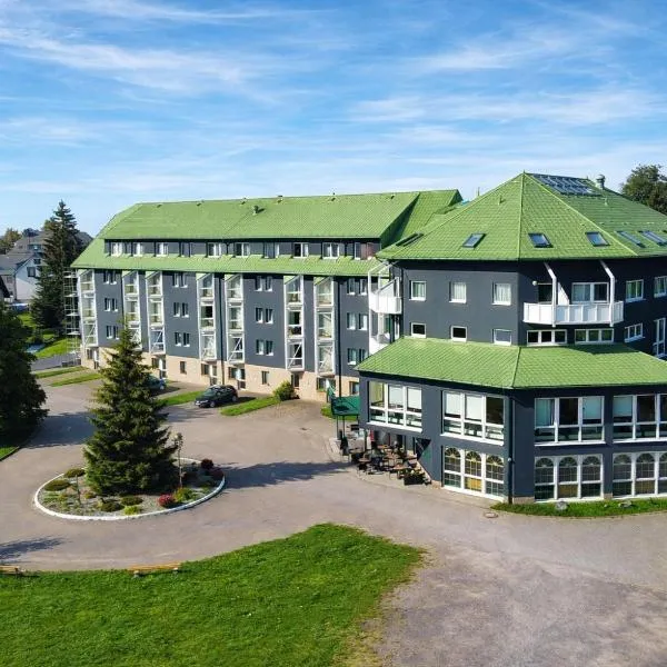 康维格酒店，位于Grossbreitenbach的酒店