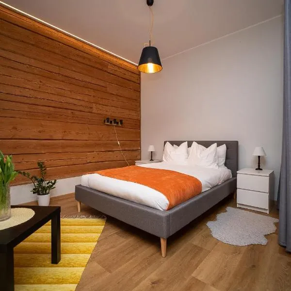 Renovated Studio with Wooden Interior, Central Rakvere，位于拉克韦雷的酒店