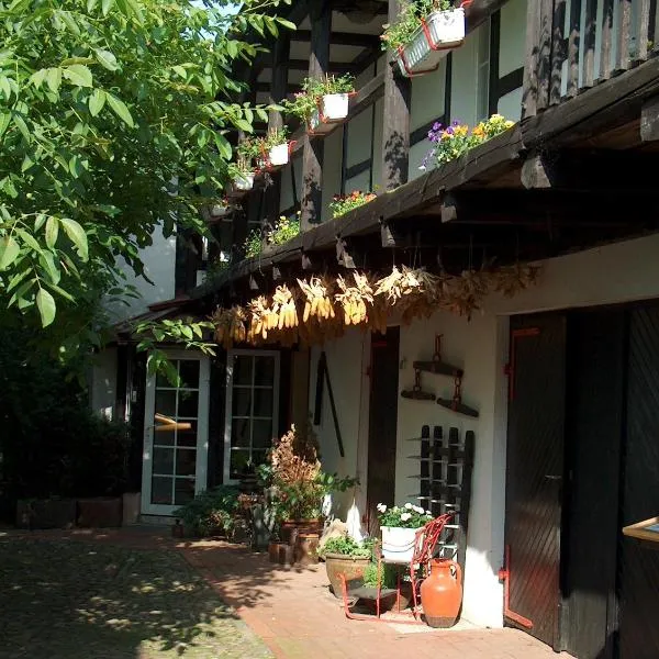 加尼欧玛“画廊宾馆”酒店，位于Barby的酒店
