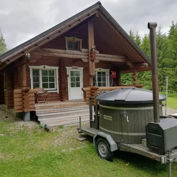 Cottage-karaoke Koivikko，位于艾内科斯基的酒店