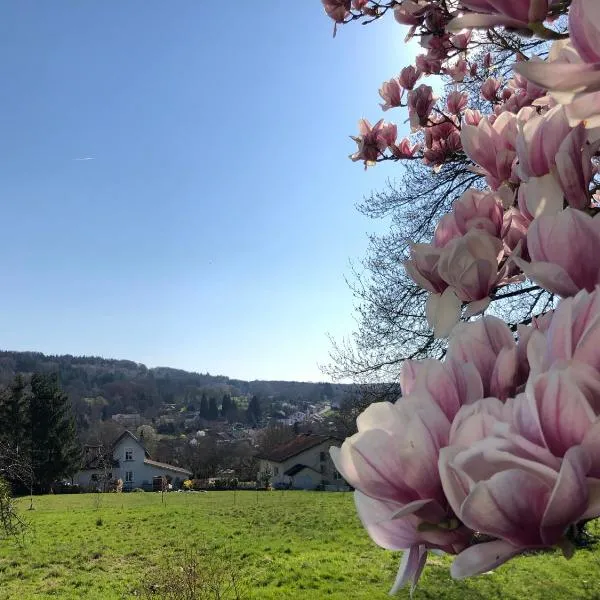 Magnifique Logement f2 Vosges La vôge-les-bains，位于班莱班的酒店