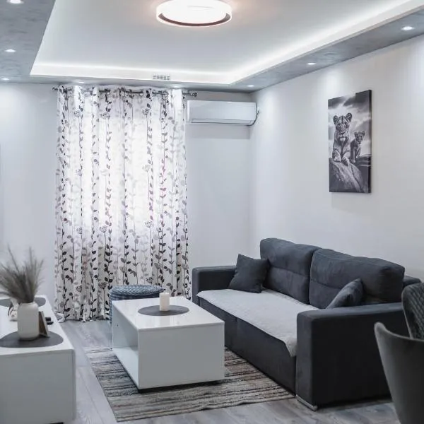 Apartman Centar，位于多博伊的酒店