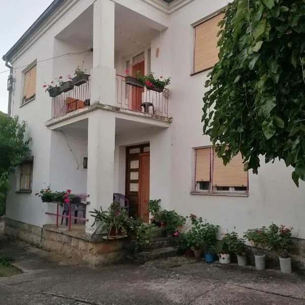 Kuca za odmor Marina Jelenkovic，位于Knjazevac.的酒店