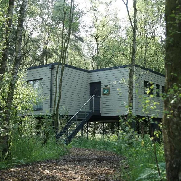 Tierpark Entdeckerhäuser，位于Wagenfeld的酒店