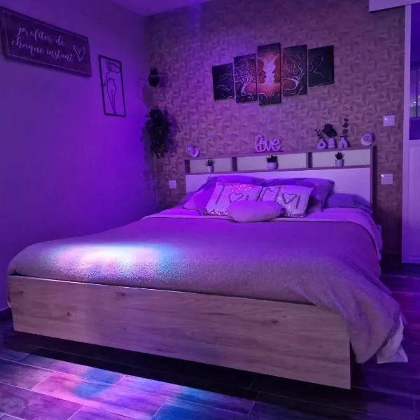 Studio avec jacuzzi , terrasse amenagée et wifi à Westrehem,位于Westrehem的酒店