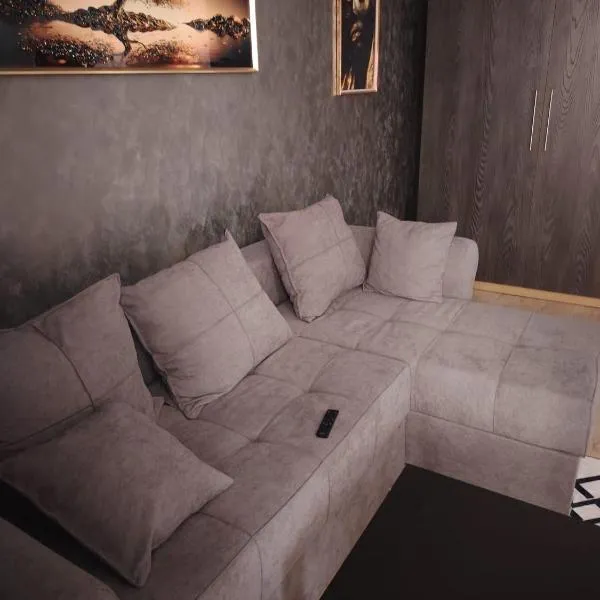 Apartament Maya luxury，位于布加勒斯特的酒店