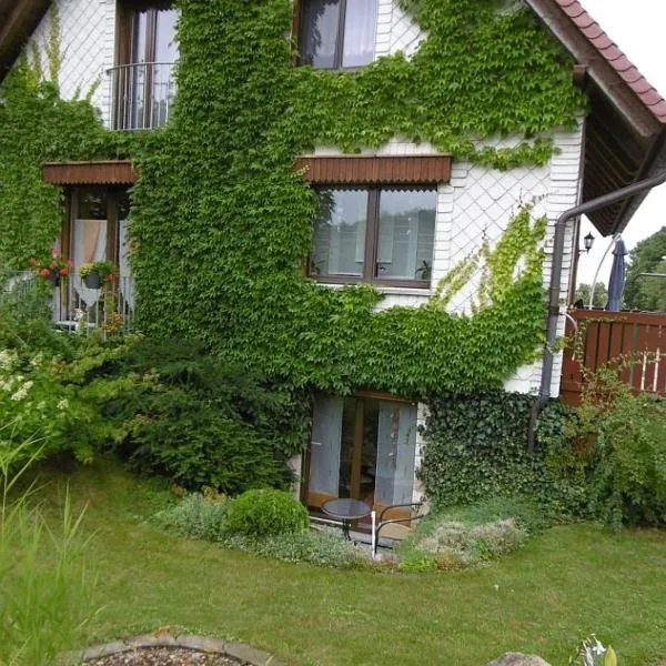 Ferienwohnung Meyer，位于伊尔梅瑙的酒店