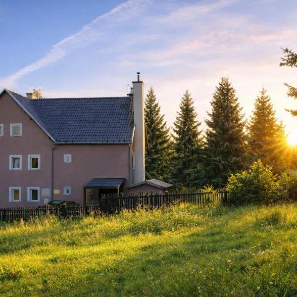 Forest House near Klínovec with 5 Independent Apartments，位于科瓦斯卡的酒店