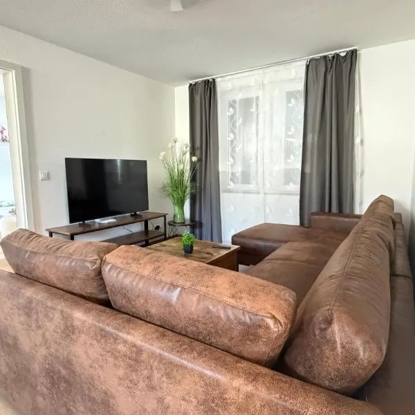 Family Suite，位于Niedergösgen的酒店