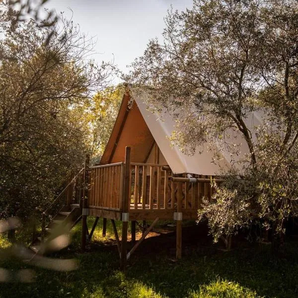 Glamping Il Bosco di Marino，位于San Pietro di Feletto的酒店