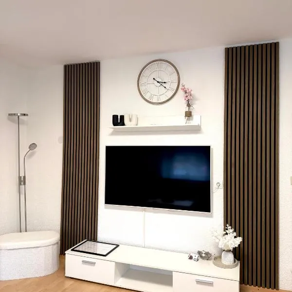 Ferienwohnung LAZ am Dreiländereck，位于巴特塞京根的酒店