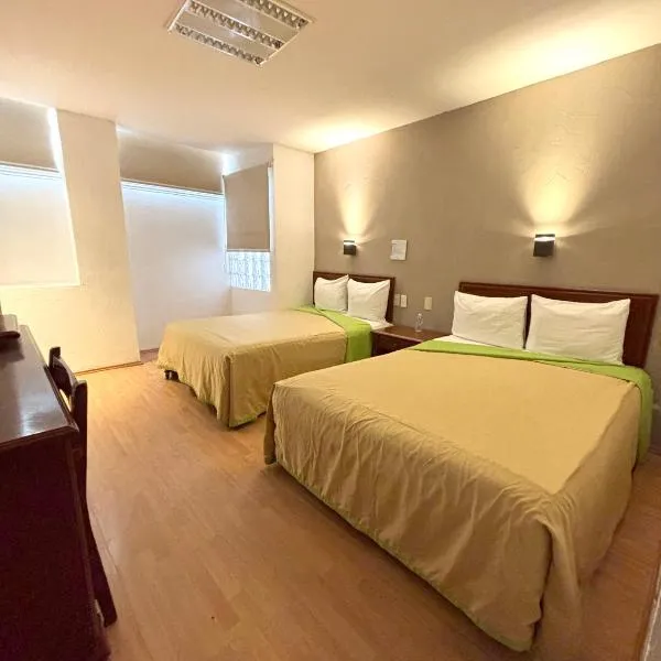 Hotel Enterprise Inn Plaza，位于莱昂的酒店