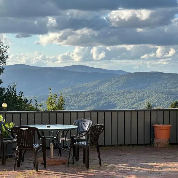 Moderne Apartments im Bayerischen Wald mit Bergblick, Balkon & großer Terrasse，位于Schöfweg的酒店