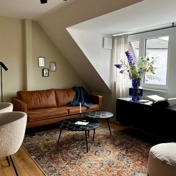 Emils City Suite，位于弗雷登的酒店