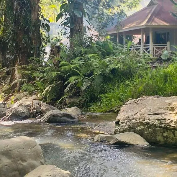 Sarramea Dépaysement Bungalow Déconnexion，位于Sarraméa的酒店