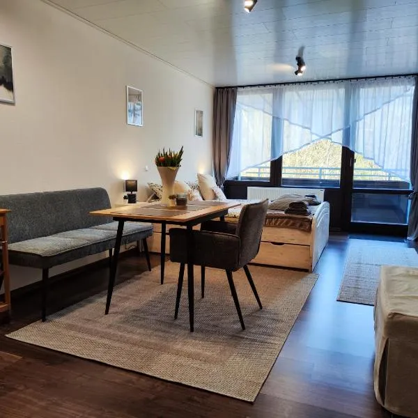 Ferienwohnung Sonnenhang，位于里登堡的酒店