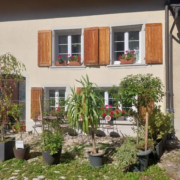 18th C Cottage near Basel, Hiking, Business, Couples, Families, Groups, Parking, Fast WiFi, Jura Mountains，位于Waldenburg的酒店