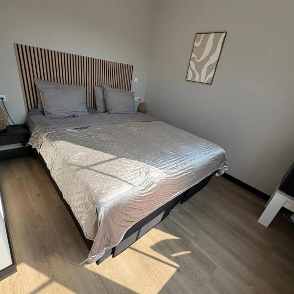 Voogdtstraat 7，位于斯鲁伊斯的酒店