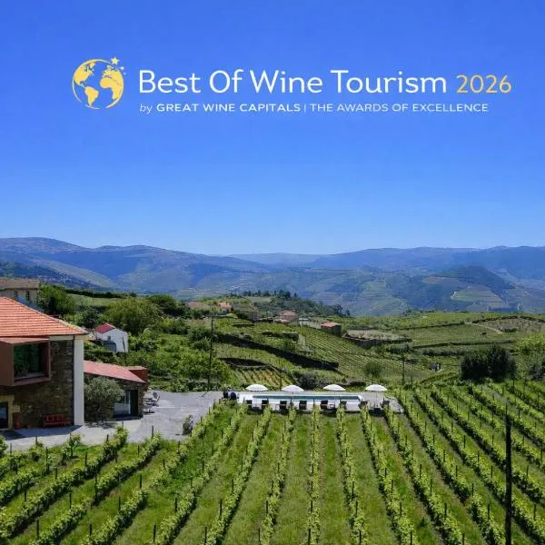 Casa do Santo - Wine & Tourism，位于Provesende的酒店