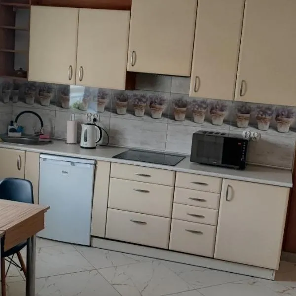 Noclegi kawalerka apartament w centrum Dzierżoniowa podwórko grill wynajm krótkoterminowy，位于杰尔若纽夫的酒店