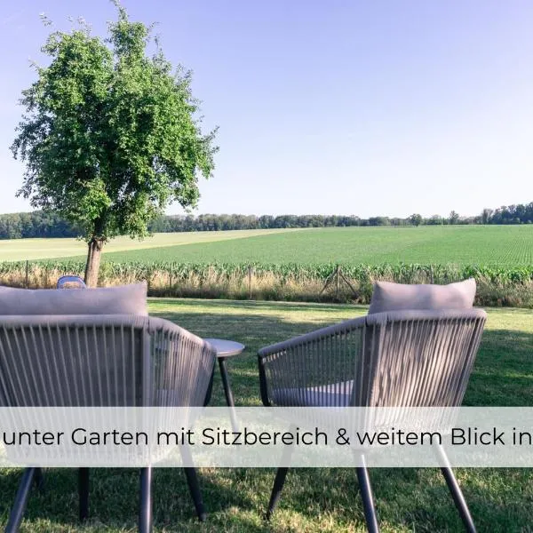 Landhaus Paco Ferienhaus für 12 Personen mit Alpakas, Sauna & Kamin，位于Blaufelden的酒店
