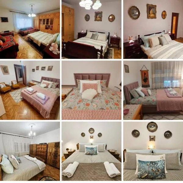 Zorica House Vrbas，位于Vrbas的酒店