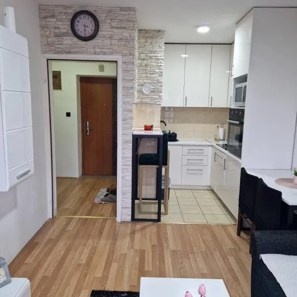 Apartman Zivkovic,位于Bosanska Dubica的酒店