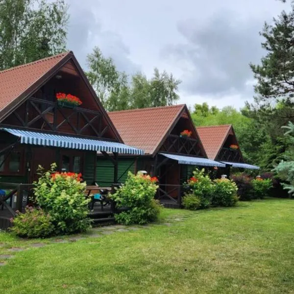 Domki letniskowe BAŁTYK，位于韦巴的酒店